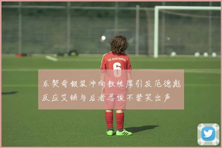 东契奇假装冲向教练席引发范德彪反应艾顿与后者忍俊不禁笑出声