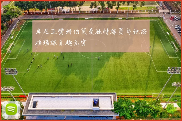库尼亚赞姆伯莫是独特球员与他搭档踢球乐趣无穷
